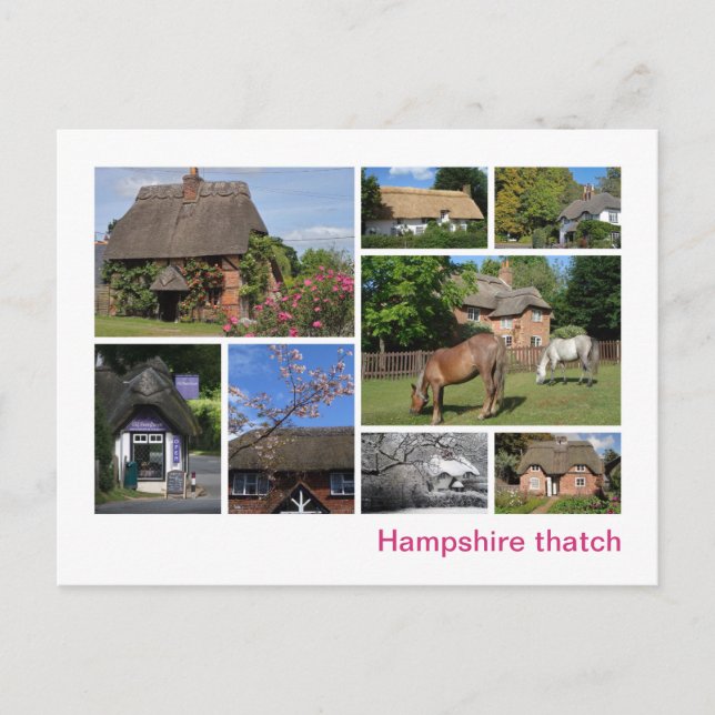 Cartão Postal Aquilo de Hampshire (Frente)