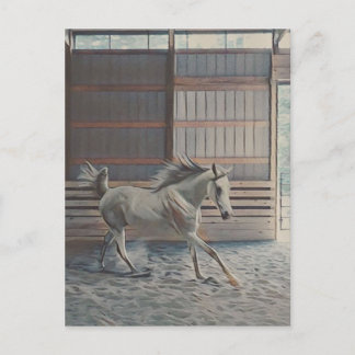 Cartão Postal Árabe artístico