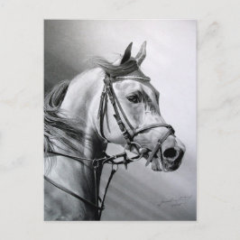 Cartão postal ARABIAN BEAUTY