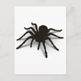 Cartão Postal Aranha 3D