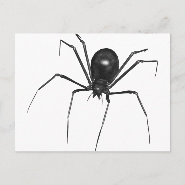Cartão Postal Aranha 3D Grande Negra (Frente)