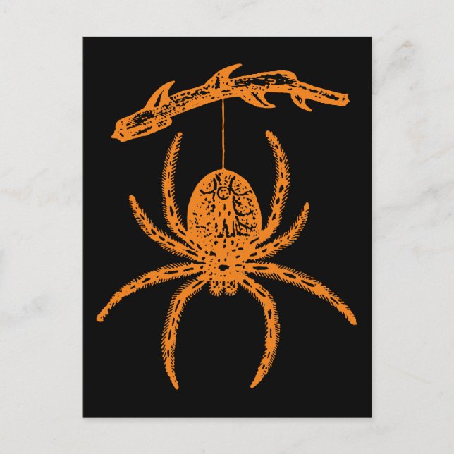 Cartão Postal Aranha-de-laranja Halloween (Frente)