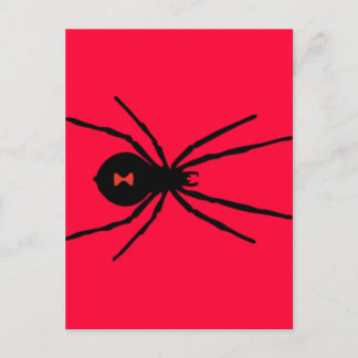 Cartão Postal Aranha de Viúva Negra