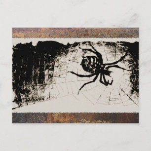 Cartão Postal Aranha-do-mato