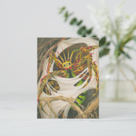 Cartão Postal Aranha Raiz