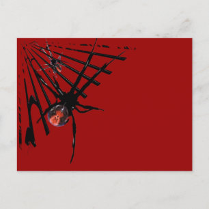 Cartão Postal Aranha Redback