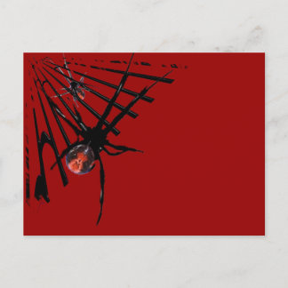 Cartão Postal Aranha Redback