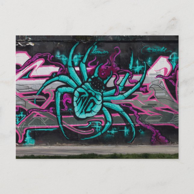 Cartão Postal Aranha Turquesa Molhada (Frente)