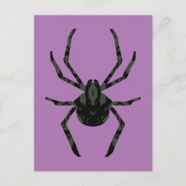 Cartão Postal Aranha Velha Comum