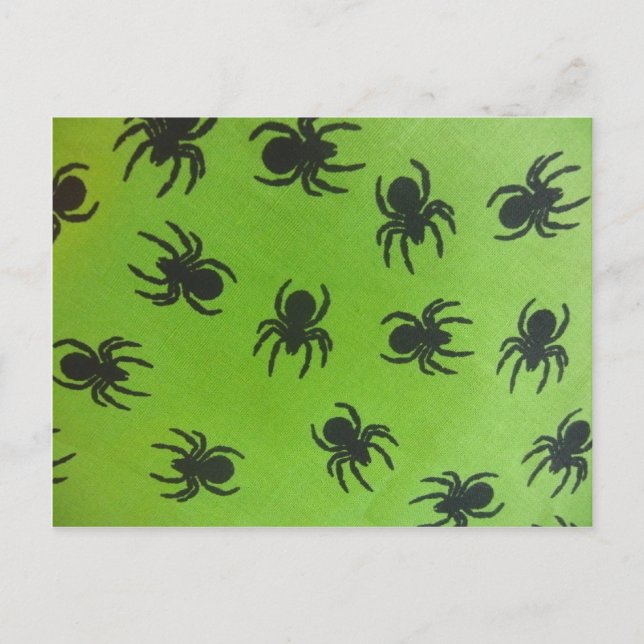 Cartão Postal Aranhas Assustadoras (Frente)