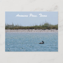 Cartão Postal Aransas Pass Costa do Texas com Pelicano