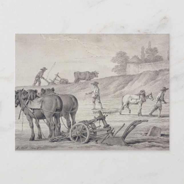 Cartão Postal Arar os Campos (Frente)