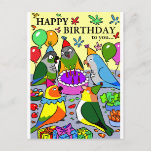Cartão Postal arara conure gcc quaker caique parroto senegal fel