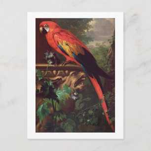 Cartão Postal Arara-escarlate numa paisagem (óleo na canvas)