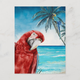 Cartão Postal Arara-vermelha Papagaio Aquarela Tropical