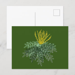 Cartão Postal Arbusto Botânico Mahonia Desenhado à Mão Verde