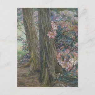 Cartão Postal Arbusto de Rhododendron Clara Voortman num Jardim