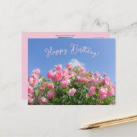 arbusto de rosa rosa sob o céu azul, personalizado