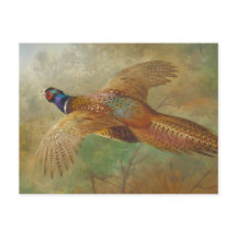Archibald Thorburn Flying faasant CC0583