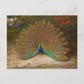 Cartão Postal Archibald Thorburn Peacock Fine Art