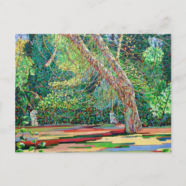 CARTÃO POSTAL ARCO 1 (Frente)