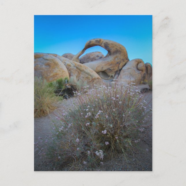 Cartão Postal Arco Colinas do Alabama (Frente)