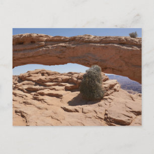 Cartão Postal Arco de Mesa e Tumbleweed em Canyonlands