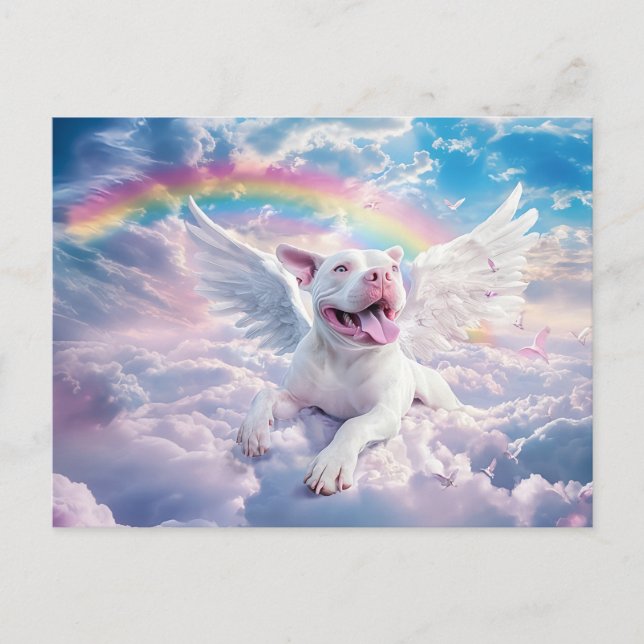 Cartão Postal Arco-íris, Cachorro Branco no Céu (Frente)