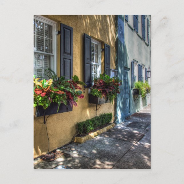 Cartão Postal Arco-Íris Linha.jpg (Frente)