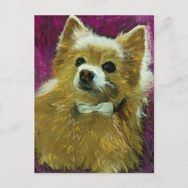 Cartão Postal Arco nº 2 (Frente)