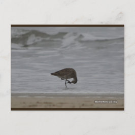 Cartão Postal Arcos de maçaneta | Cartão-postal Blue Beach™