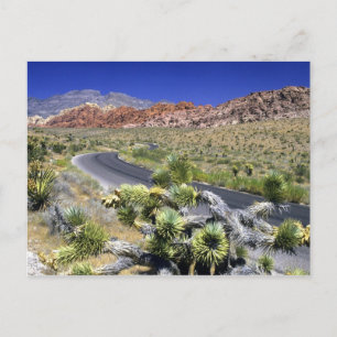 Cartão Postal Área de Conservação Nacional Red Rock Canyon, Las