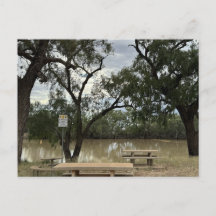 Área de Picnic em Tannock Weir.