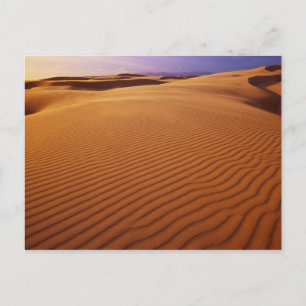 Cartão Postal Área de Recreação Nacional das Dunas de Oregon, Or