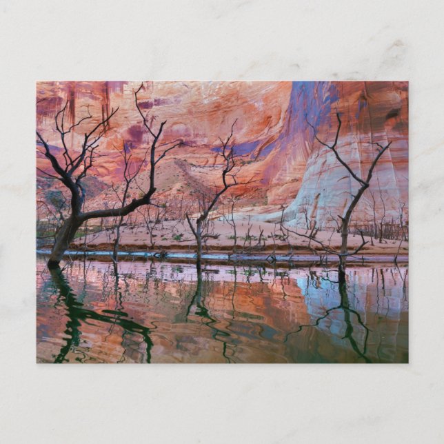 Cartão Postal Área de Recreação Nacional Glen Canyon, Utah (Frente)