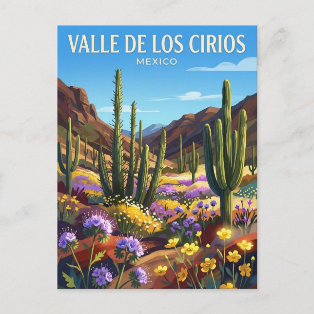 Cartão Postal Área Natural Protegida Vale dos Cirios México (Frente)