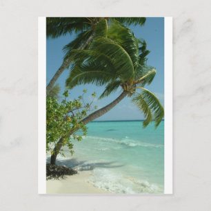 Cartão Postal Areia de Praia Tropical Sol Água Ondas do Oceano A