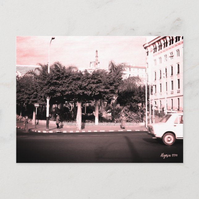 Cartão Postal Argélia antiga edifício carros Argel (Frente)