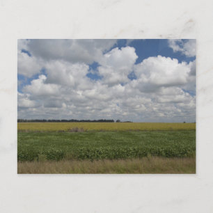 Cartão Postal Argentina, Buenos Aires, San Antonio de Areco.