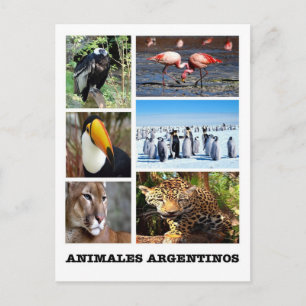Cartão Postal Argentina - Mosaico Animales Argentinos