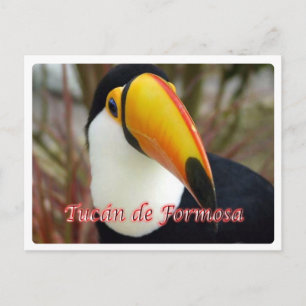Cartão Postal Argentina - Tucán de Formosa -