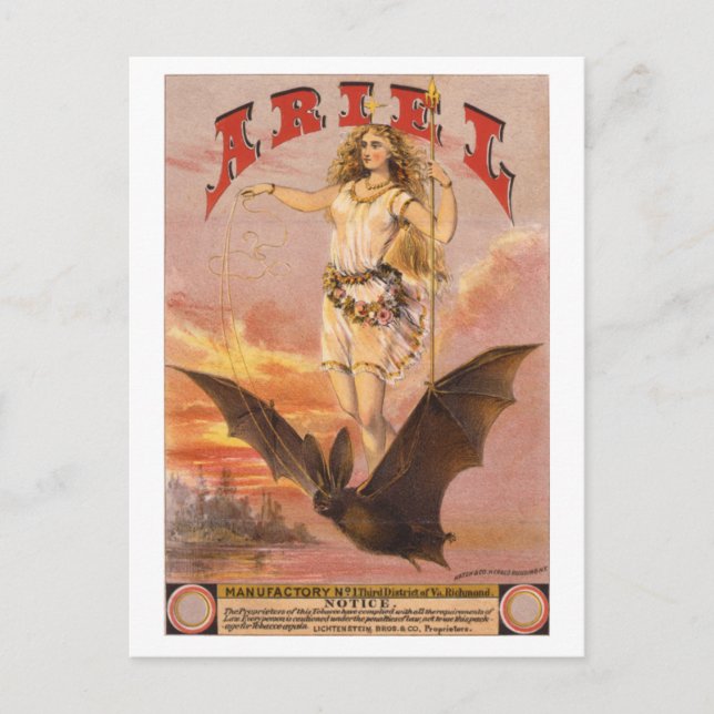 Cartão Postal Ariel em um Bat (Frente)