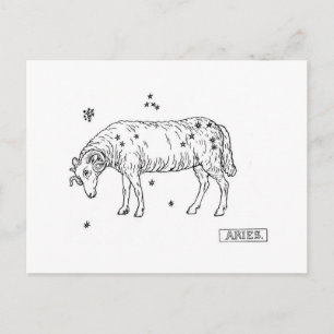 Cartão Postal Aries