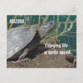 Cartão Postal Arizona Desfrutando da Vida Aposentada Foto de Tar