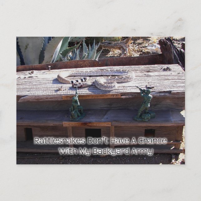 Cartão Postal Arizona Diamondback Western Rattlesnake (Frente)