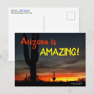 Cartão Postal "Arizona é incrível!" Sonoran Desert Cactus Suns