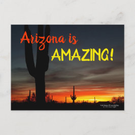 Cartão Postal "Arizona é incrível!" Sonoran Desert Cactus Sunset