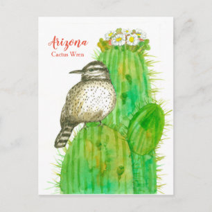 Cartão Postal Arizona Estado das aves Cactus Wren White Blossoma