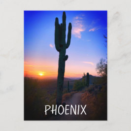 Cartão Postal Arizona Phoenix Saguaro Cactus Sunset Souvenir