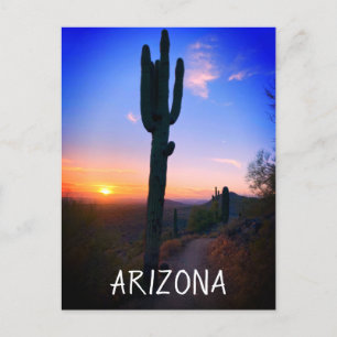 Cartão Postal Arizona Saguaro Cactus Sunset Souvenir Viagem